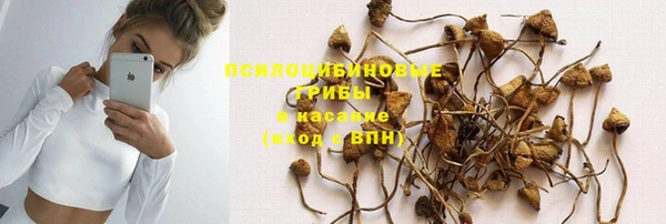 2c-b Горняк