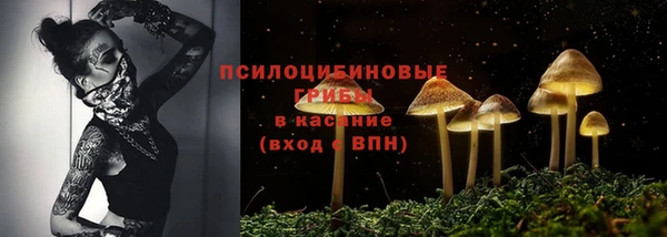 2c-b Горняк
