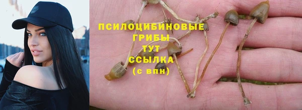 2c-b Горняк