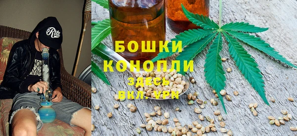 2c-b Горняк